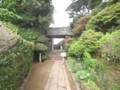 f:id:fujiwarakominka:20160424164655j:image:medium f:id:fujiwarakominka:20160424164655j:image:medium