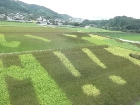 f:id:fujiwarakominka:20160915155643j:image f:id:fujiwarakominka:20160915155643j:image