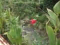 20161004084738