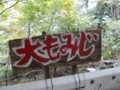 f:id:fujiwarakominka:20161106075853j:image:medium