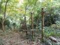 f:id:fujiwarakominka:20161106075904j:image:medium