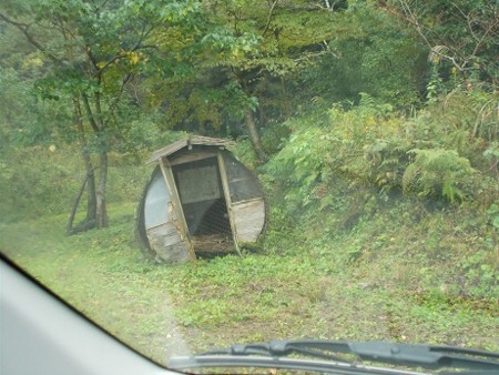 f:id:fujiwarakominka:20161108150457j:image