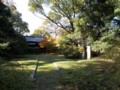 f:id:fujiwarakominka:20161116130558j:image:medium