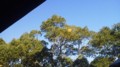 f:id:fujiwarakominka:20170115152203j:image:medium
