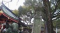 f:id:fujiwarakominka:20170122120425j:image:medium