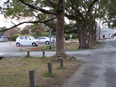 f:id:fujiwarakominka:20170122143318j:image f:id:fujiwarakominka:20170122143318j:image