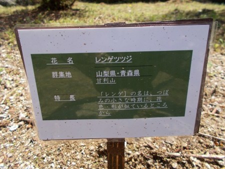 f:id:fujiwarakominka:20170416121128j:image f:id:fujiwarakominka:20170416121128j:image