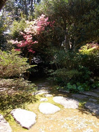 f:id:fujiwarakominka:20170423105945j:image f:id:fujiwarakominka:20170423105945j:image