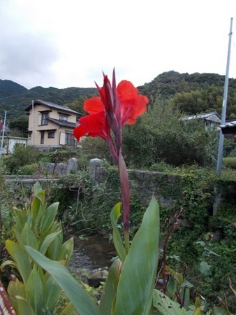 f:id:fujiwarakominka:20171019173003j:image