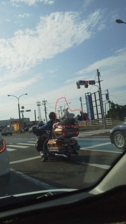 f:id:fujiwarakominka:20171103142854j:image