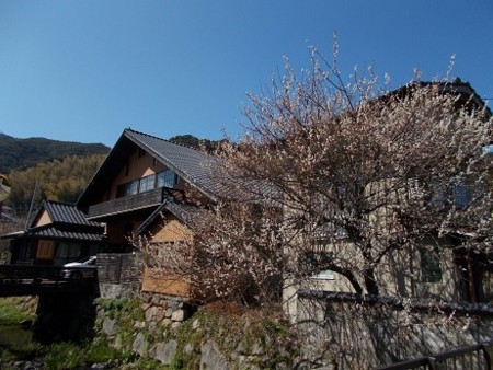 f:id:fujiwarakominka:20180310112904j:image