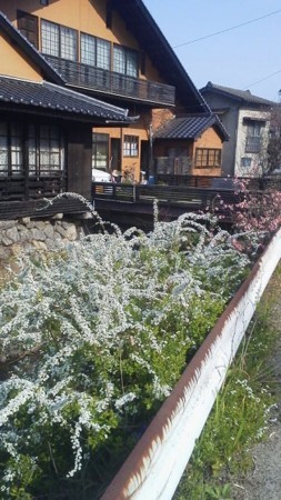 f:id:fujiwarakominka:20180326092822j:image