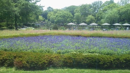 f:id:fujiwarakominka:20180603121028j:image