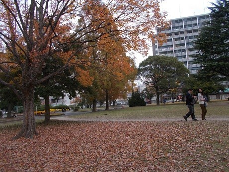 f:id:fujiwarakominka:20181202130200j:plain