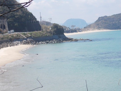 f:id:fujiwarakominka:20190319115947j:plain