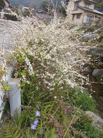 f:id:fujiwarakominka:20190320155037j:plain f:id:fujiwarakominka:20190320155037j:plain