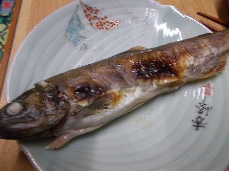f:id:fujiwarakominka:20190330180126j:plain f:id:fujiwarakominka:20190330180126j:plain