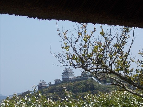f:id:fujiwarakominka:20190420134748j:plain