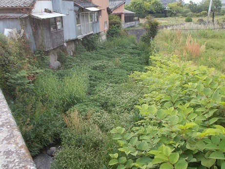 f:id:fujiwarakominka:20190511182054j:plain f:id:fujiwarakominka:20190511182054j:plain