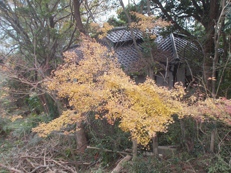 f:id:fujiwarakominka:20191205150929j:plain f:id:fujiwarakominka:20191205150929j:plain