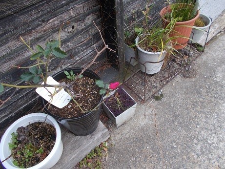 f:id:fujiwarakominka:20191229161040j:plain f:id:fujiwarakominka:20191229161040j:plain