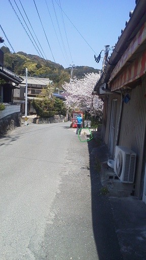 f:id:fujiwarakominka:20200404113115j:plain