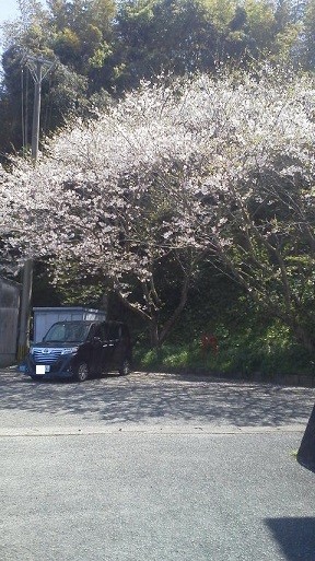 f:id:fujiwarakominka:20200404115951j:plain
