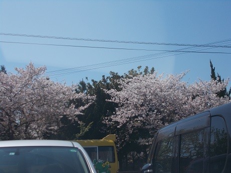 f:id:fujiwarakominka:20200406140626j:plain