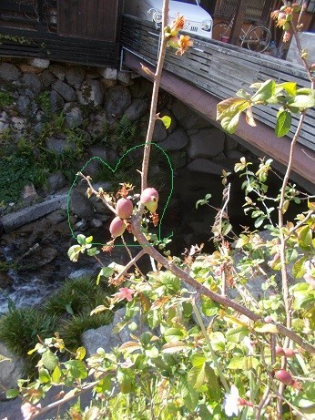 f:id:fujiwarakominka:20200416163801j:plain