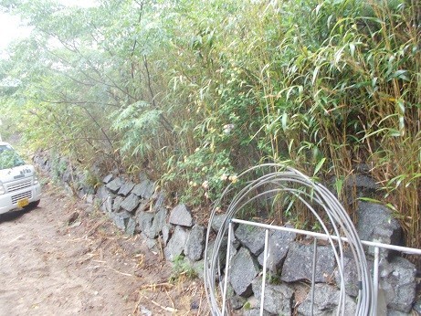 f:id:fujiwarakominka:20200601094400j:plain f:id:fujiwarakominka:20200601094400j:plain
