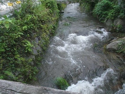 f:id:fujiwarakominka:20200708174935j:plain