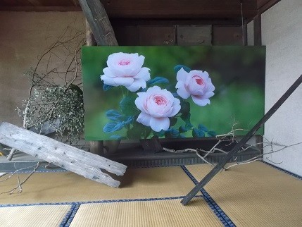 f:id:fujiwarakominka:20201129103449j:plain