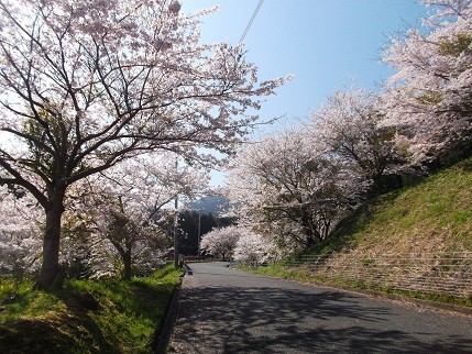 f:id:fujiwarakominka:20210326093207j:plain