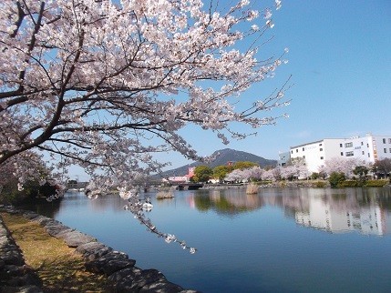 f:id:fujiwarakominka:20210326112533j:plain