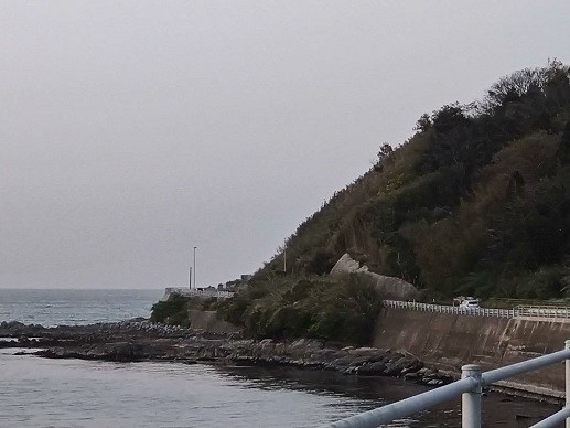 f:id:fujiwarakominka:20210331074451j:plain