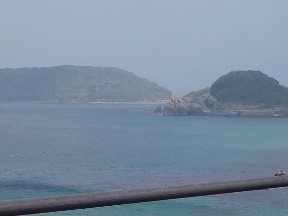 f:id:fujiwarakominka:20210331081935j:plain
