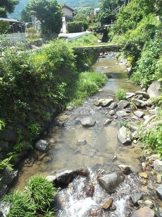 f:id:fujiwarakominka:20210621111007j:plain