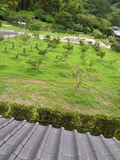 f:id:fujiwarakominka:20210711100532j:plain