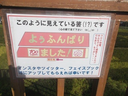 f:id:fujiwarakominka:20210919083900j:plain
