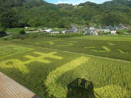 f:id:fujiwarakominka:20210919083916j:plain