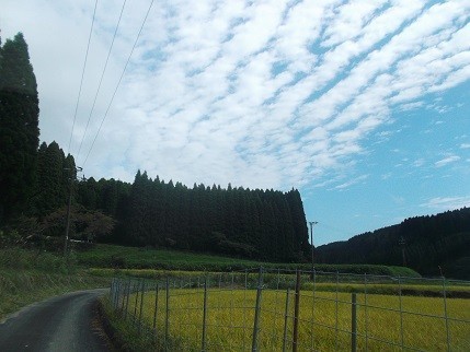 f:id:fujiwarakominka:20210926134856j:plain