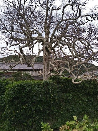 f:id:fujiwarakominka:20211003063414j:plain