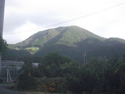 f:id:fujiwarakominka:20211017155036j:plain