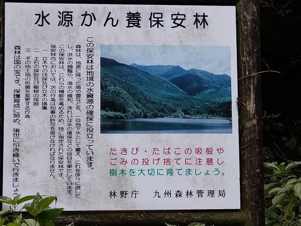 f:id:fujiwarakominka:20211017204009j:plain