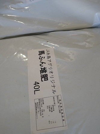 f:id:fujiwarakominka:20211023080953j:plain
