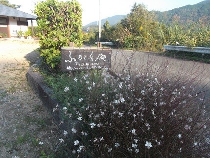 f:id:fujiwarakominka:20211027155148j:plain