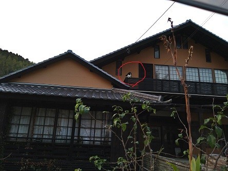 f:id:fujiwarakominka:20211119065504j:plain