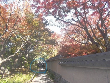 f:id:fujiwarakominka:20211128101851j:plain