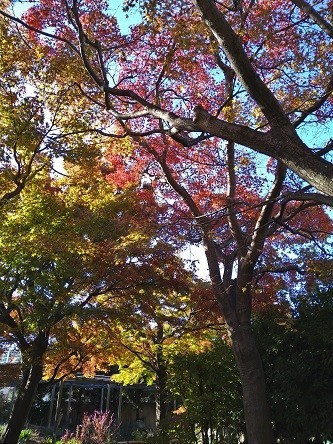 f:id:fujiwarakominka:20211128193250j:plain