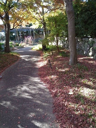 f:id:fujiwarakominka:20211128193315j:plain